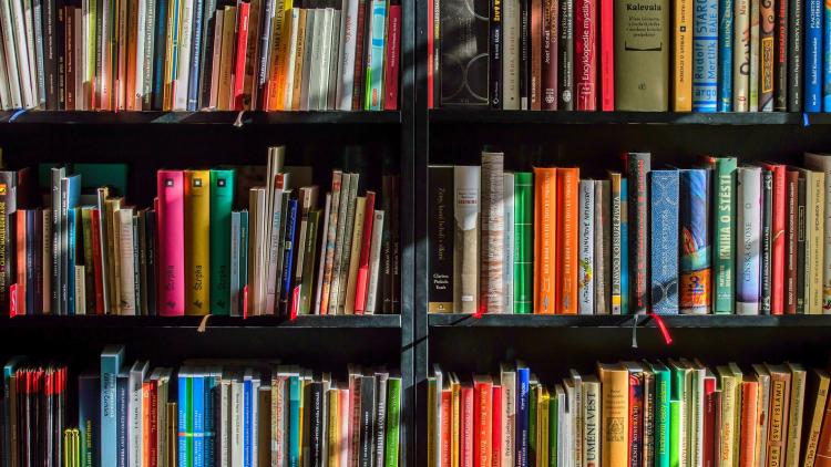 Bücher